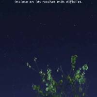 Deus te ama e sempre estará com você, mesmo nas noites mais difíceis. Boa noite!