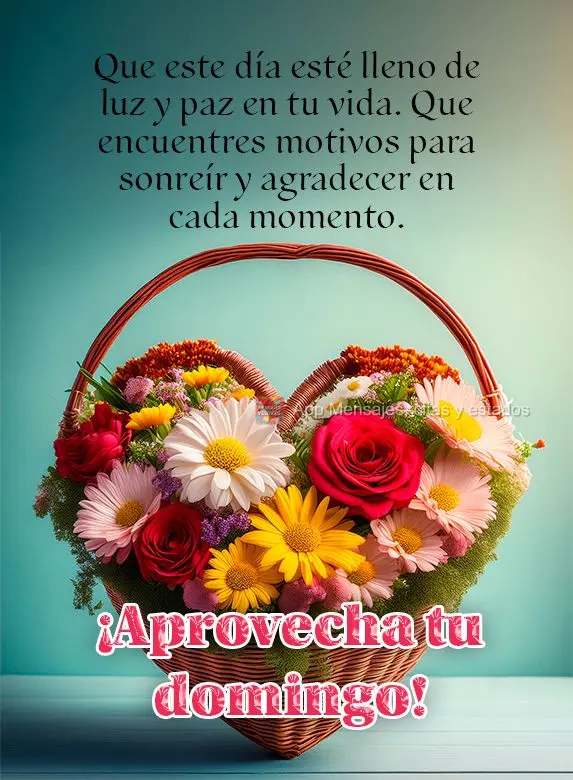 Que este día esté lleno de luz y paz en tu vida. Que encuentres motivos para sonreír y agradecer en cada momento. ¡Aprovecha tu domingo!