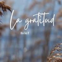 é a forma mais sincera de louvar a Deus por tudo que Ele nos proporciona. A gratidão