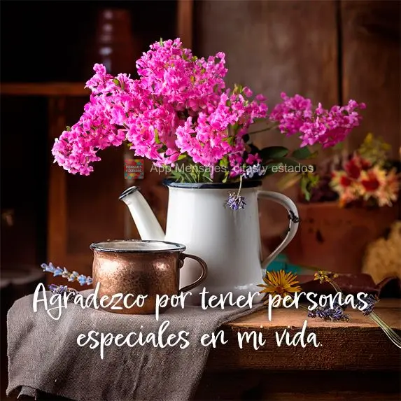 Agradeço por ter pessoas tão especiais em minha vida.