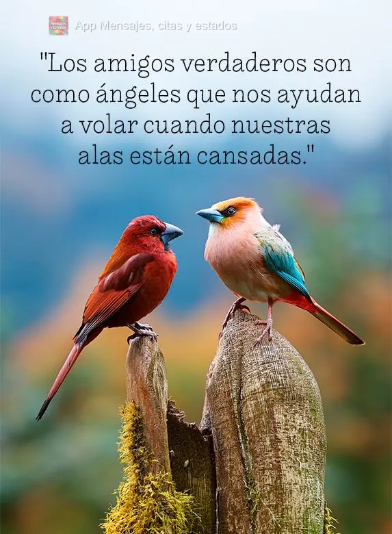"Los amigos verdaderos son como ángeles que nos ayudan a volar cuando nuestras alas están cansadas."