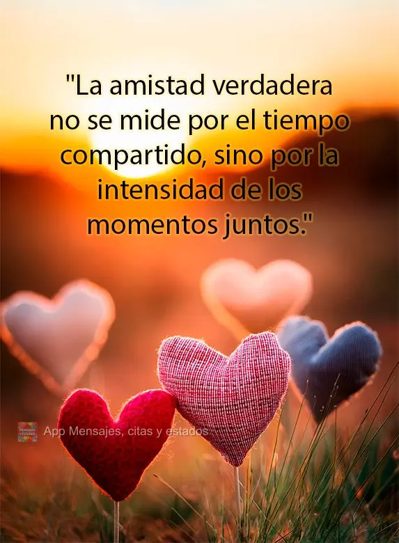 "La amistad verdadera no se mide por el tiempo compartido, sino por la intensidad de los momentos juntos."