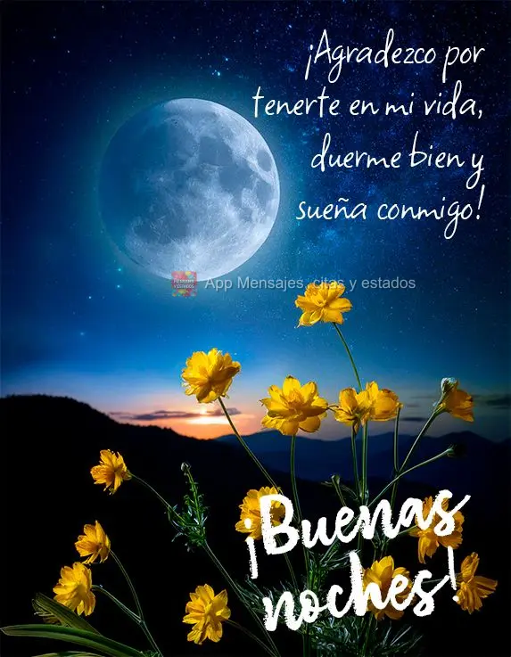 Agradeço por ter você em minha vida, durma bem e sonhe comigo! Boa noite!