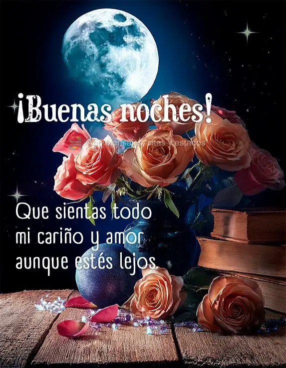 Que você sinta todo o meu carinho e amor mesmo estando longe. Boa noite!