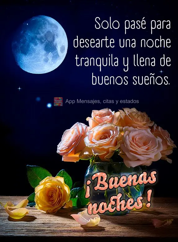 Só passei para te desejar uma noite tranquila e cheia de bons sonhos. Boa noite!