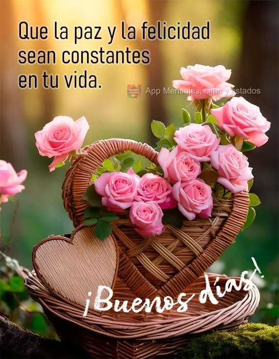 Que a paz e a felicidade sejam constantes na sua vida. Bom dia!