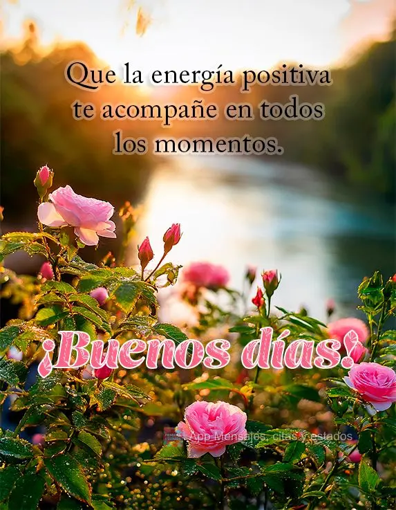 Que a energia positiva te acompanhe em todos os momentos. Bom dia!