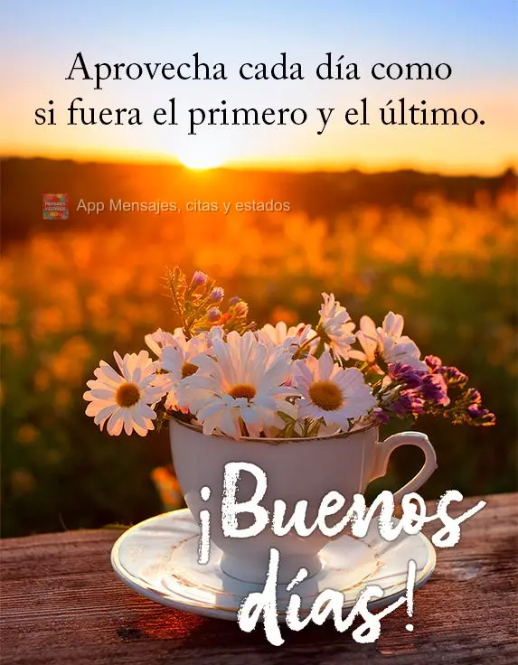 Aproveite cada dia como se fosse o primeiro e o último. Bom dia!