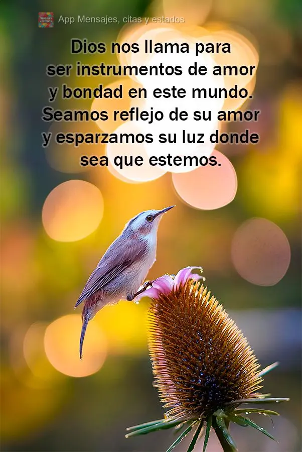 Deus nos chama para sermos instrumentos de amor e bondade neste mundo. Sejamos reflexos do Seu amor e espalhemos a Sua luz onde quer que estejamos.