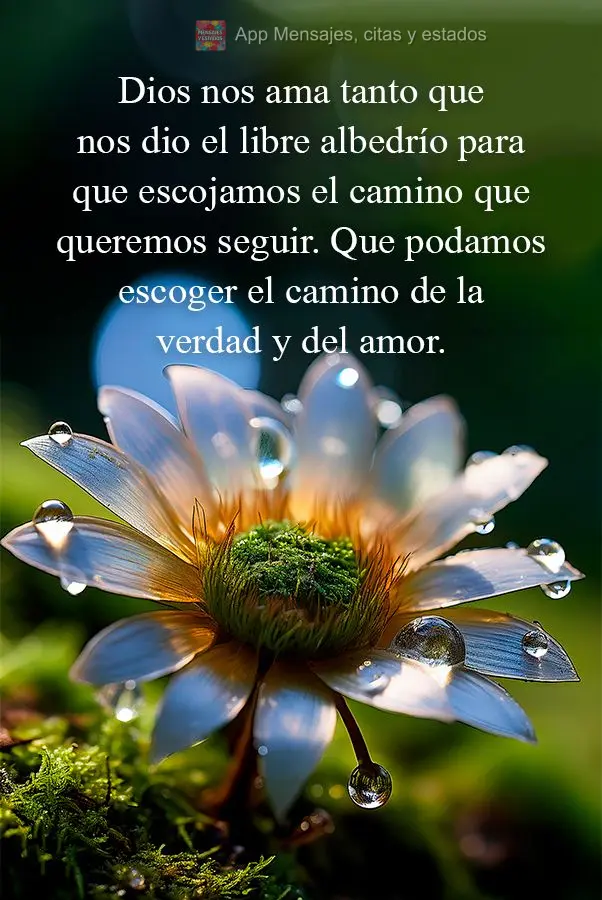 Dios nos ama tanto que nos dio el libre albedrío para que escojamos el camino que queremos seguir. Que podamos escoger el camino de la verdad y del amor...