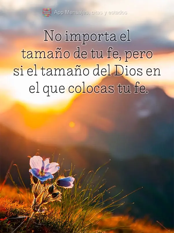 No importa el tamaño de tu fe, pero si el tamaño del Dios en el que colocas tu fe.