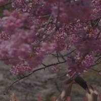 Com a chegada de setembro, renasce a esperança de dias mais coloridos e a certeza de que novas oportunidades estão por vir.