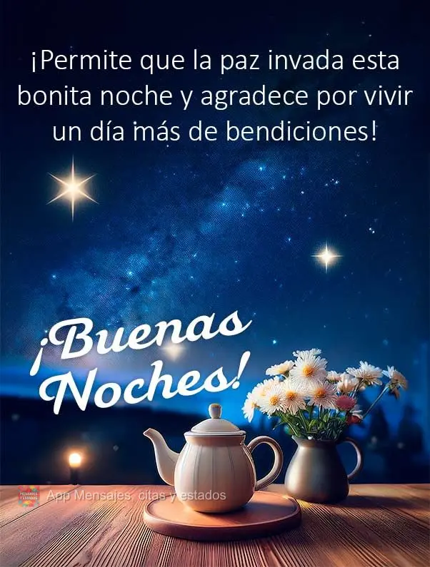 Permita que a paz invada esta bonita noite e agradeça por viver mais um dia de bênçãos! Boa noite!