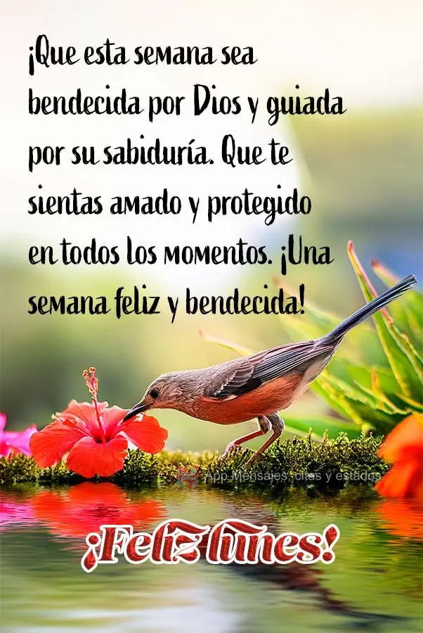 ¡Que esta semana sea bendecida por Dios y guiada por su sabiduría. Que te sientas amado y protegido en todos los momentos. ¡Una semana feliz y bendeci...