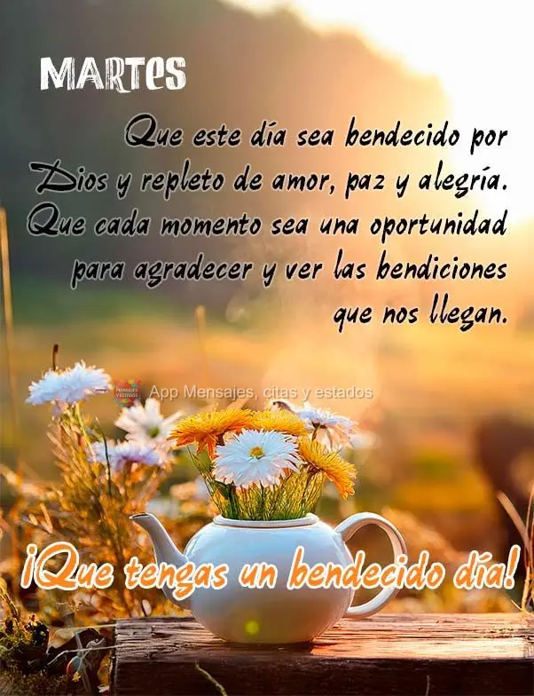 Que este día sea bendecido por Dios y repleto de amor, paz y alegría. Que cada momento sea una oportunidad para agradecer y ver las bendiciones que nos...