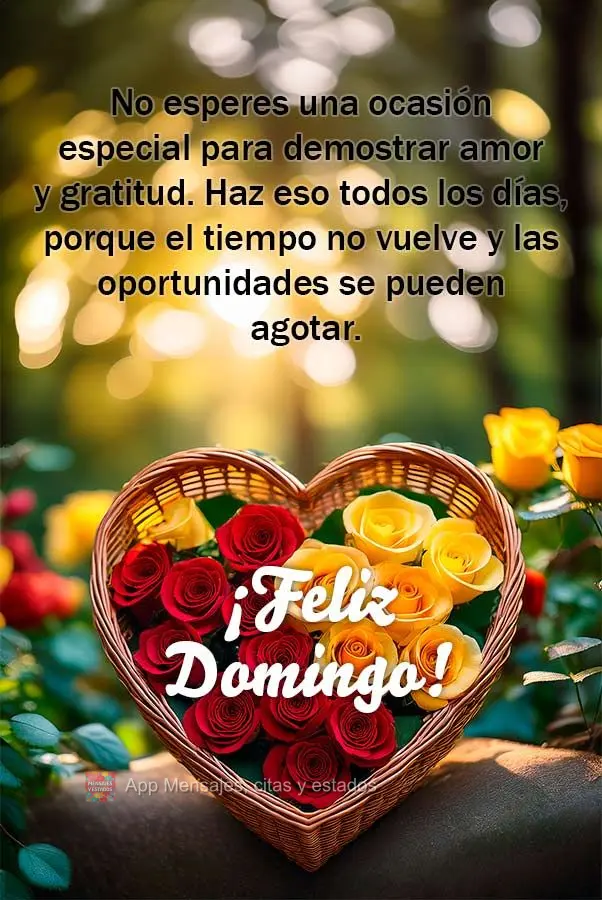 No esperes una ocasión especial para demostrar amor y gratitud. Haz eso todos los días, porque el tiempo no vuelve y las oportunidades se pueden agotar...