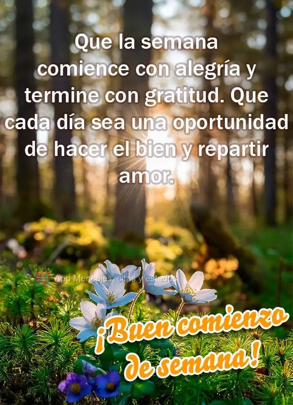 Que a semana comece com alegria e termine com gratidão. Que cada dia seja uma oportunidade de fazer o bem e espalhar o amor. Bom começo de semana!