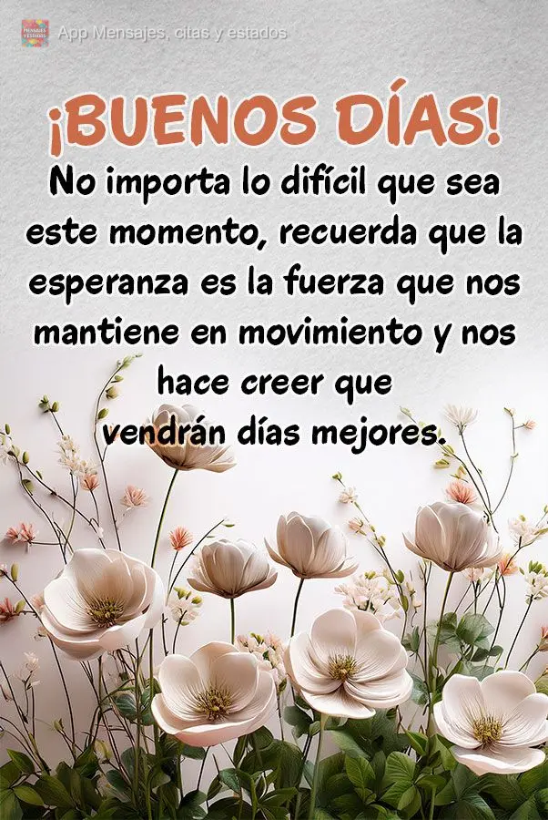 No importa lo difícil que sea este momento, recuerda que la esperanza es la fuerza que nos mantiene en movimiento y nos hace creer que vendrán días me...