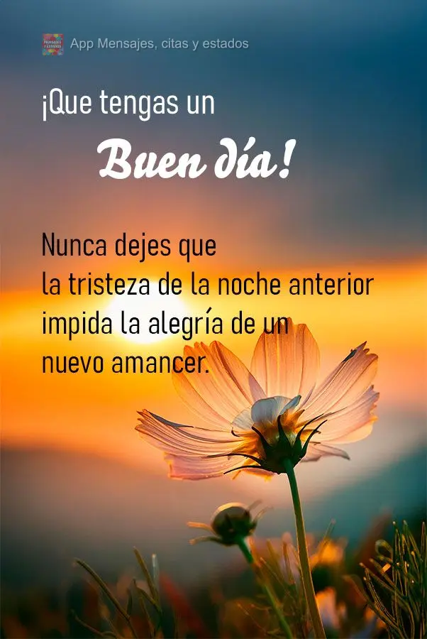 Nunca deixe que a tristeza da noite anterior impeça a alegria de um novo amanhecer. Tenha um ótimo dia!