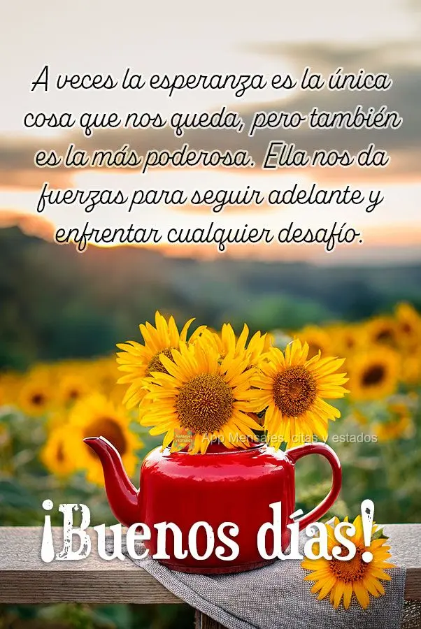 A veces la esperanza es la única cosa que nos queda, pero también es la más poderosa. Ella nos da fuerzas para seguir adelante y enfrentar cualquier d...