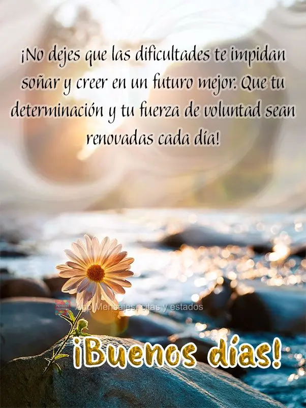 Não deixe que as dificuldades te impeçam de sonhar e acreditar em um futuro melhor. Que a sua determinação e força de vontade sejam renovadas a cada...