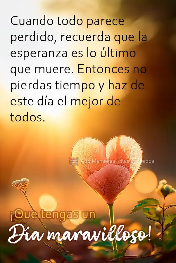 Cuando todo parece perdido, recuerda que la esperanza es lo último que muere. Entonces no pierdas tiempo y haz de este día el mejor de todos. ¡Que ten...