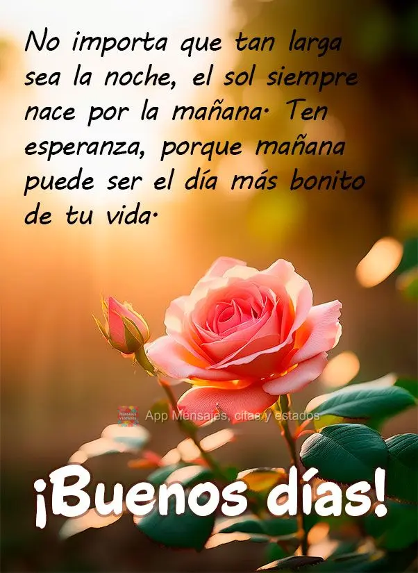 Não importa o quão longa seja a noite, o sol sempre nasce pela manhã. Tenha esperança, pois o amanhã pode ser o dia mais bonito da sua vida. Bom dia...