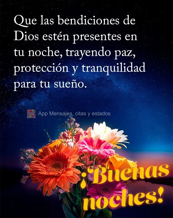 Que as bênçãos de Deus estejam presentes em sua noite, trazendo paz, proteção e tranquilidade para o seu sono. Boa noite!