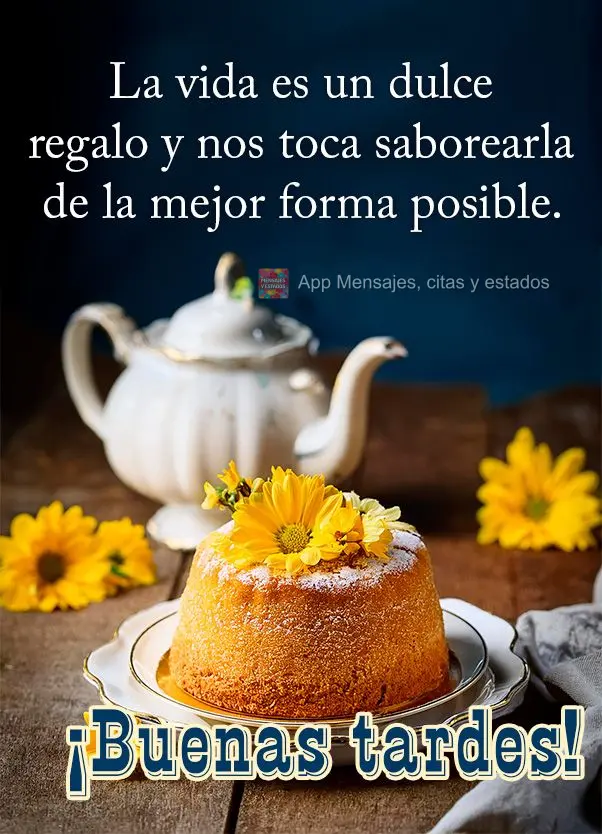 A vida é um doce presente e cabe a nós saboreá-la da melhor forma possível. Boa tarde!