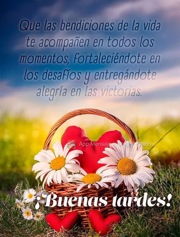 Que as bênçãos da vida te acompanhe em todos os momentos, te fortalecendo nos desafios e te enchendo de alegria nas vitórias. Boa tarde!