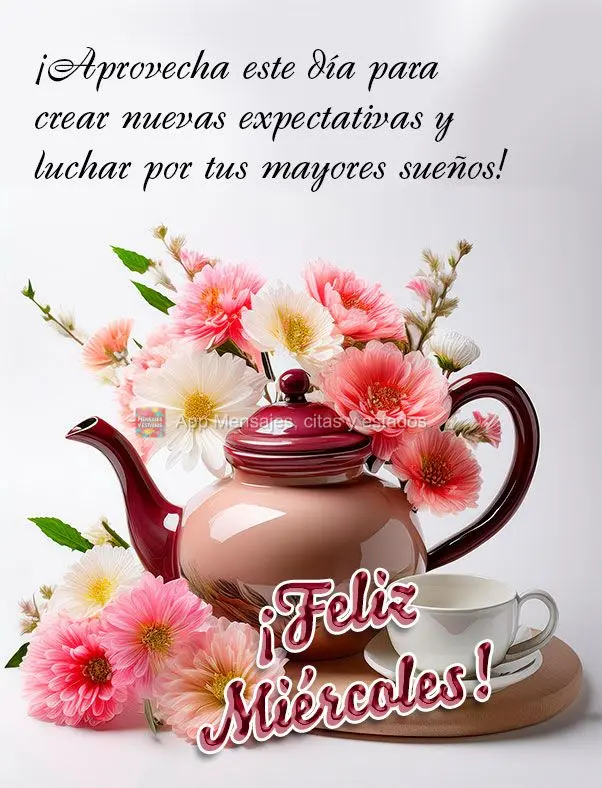 Aproveite este dia para criar novas expectativas e lutar pelos seus maiores sonhos! Feliz Quarta-feira!