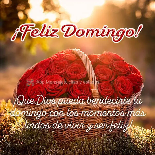 ¡Que Dios pueda bendecirte tu domingo con los momentos más lindos de vivir y ser feliz! ¡Feliz Domingo!