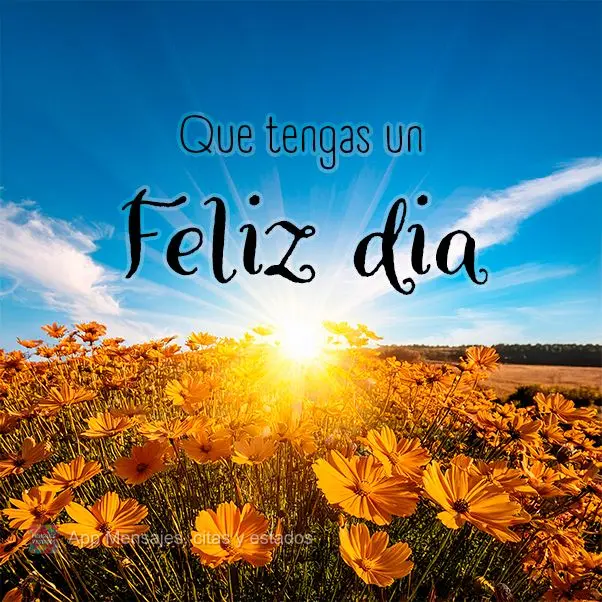 Que tengas un feliz día