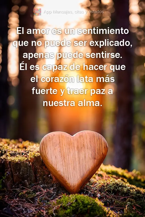 O amor é um sentimento que não pode ser explicado, apenas sentido. Ele é capaz de fazer o coração bater mais forte e trazer paz para a alma.