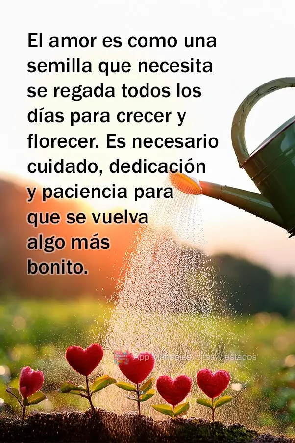 O amor é como uma semente que precisa ser regada todos os dias para crescer e florescer. É preciso cuidado, dedicação e paciência para que ele se to...