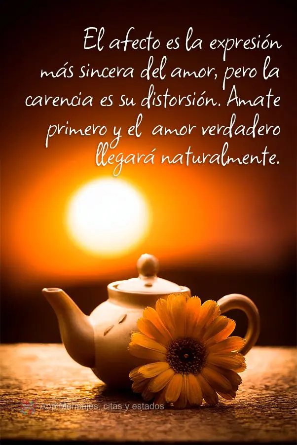 O afeto é a expressão mais sincera do amor, mas a carência é a sua distorção. Ame-se primeiro e o afeto verdadeiro virá naturalmente."