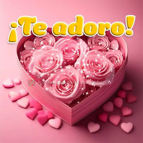 ¡Te adoro!