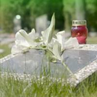 Lembrar é manter vivos os que se foram.