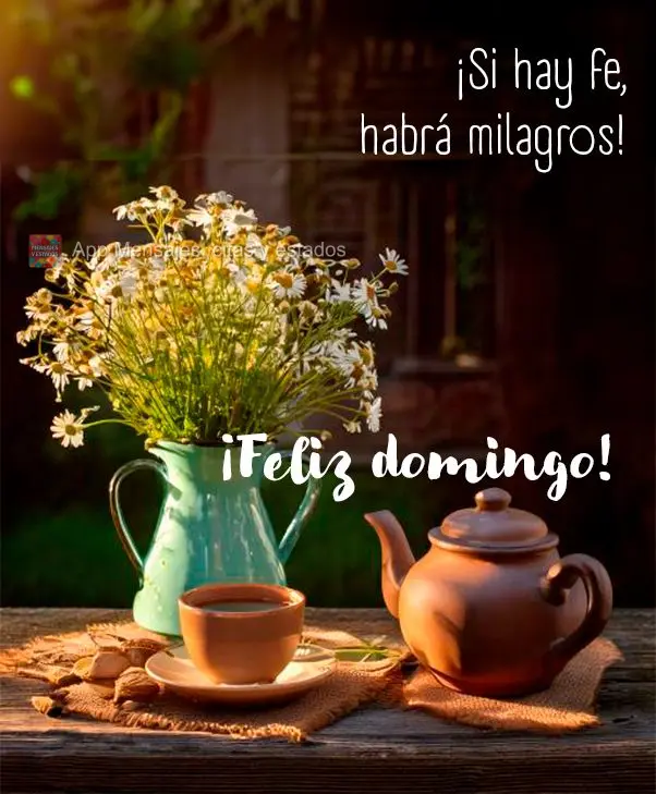 ¡Si hay fe, habrá milagros! ¡Feliz domingo!