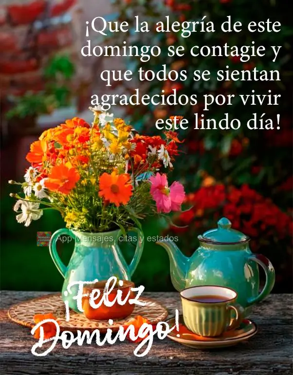 ¡Que la alegría de este domingo se contagie y que todos se sientan agradecidos por vivir este lindo día! ¡Feliz Domingo!