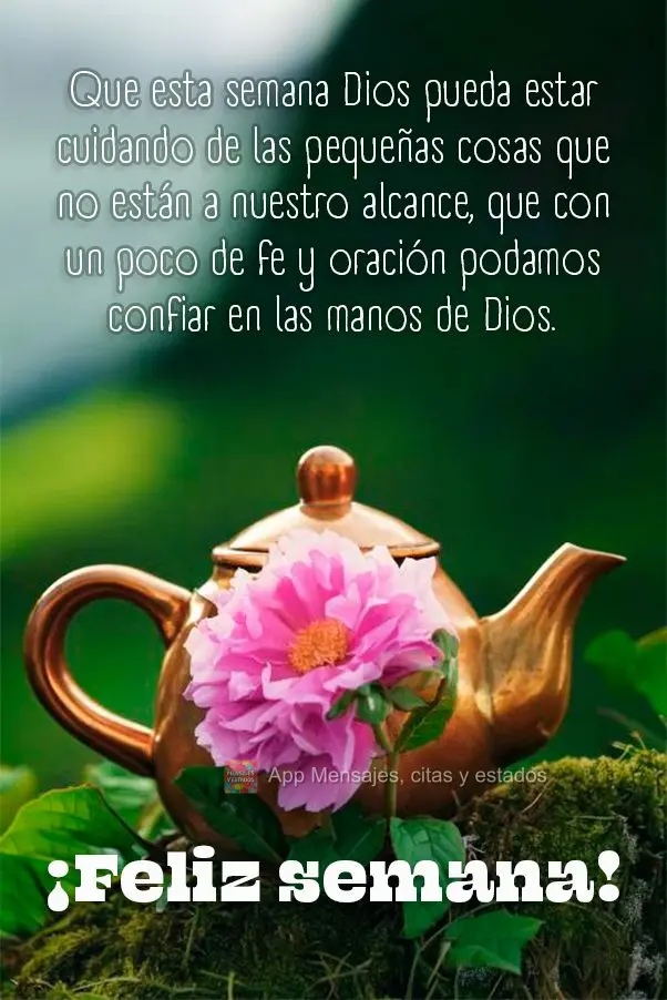 Que esta semana Dios pueda estar cuidando de las pequeñas cosas que no están a nuestro alcance, que con un poco de fe y oración podamos confiar en las...