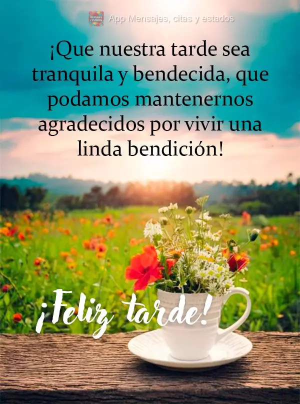 Que nossa tarde seja tranquila e abençoada, que possamos nos manter gratos por viver mais uma linda bênção! Boa tarde!