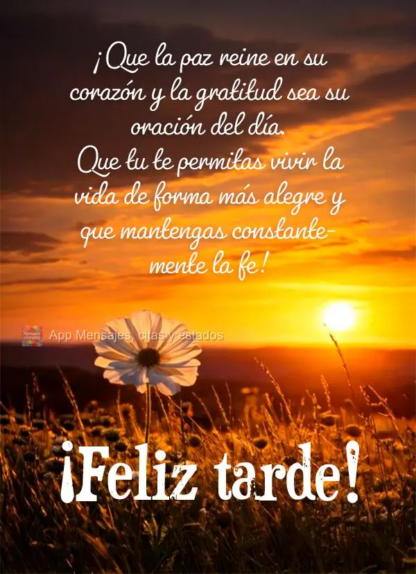 ¡Que la paz reine en su corazón y la gratitud sea su oración del día. Que tu te permitas vivir la vida de forma más alegre y que mantengas constante...