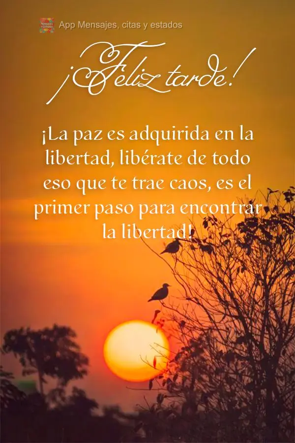 A paz é adquirida na libertação, se livrar de tudo aquilo que lhe lhe trás caos, é o primeiro passo para encontrar a liberdade! Boa tarde!