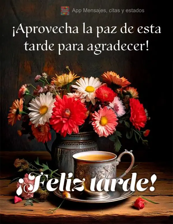 Aproveite a paz desta tarde para agradecer! Boa tarde!