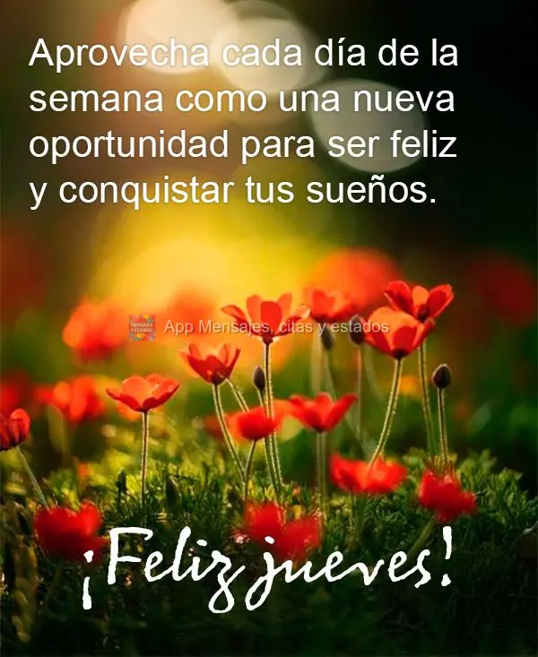 Aproveite cada dia da semana como uma nova oportunidade para ser feliz e conquistar seus sonhos. Feliz Quarta-feira!