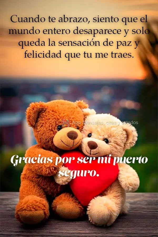 Cuando te abrazo, siento que el mundo entero desaparece y solo queda la sensación de paz y felicidad que tu me traes. Gracias por ser mi puerto seguro....