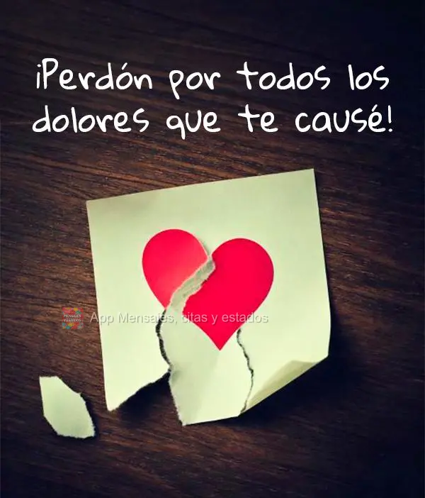 ¡Perdón por todos los dolores que te causé!