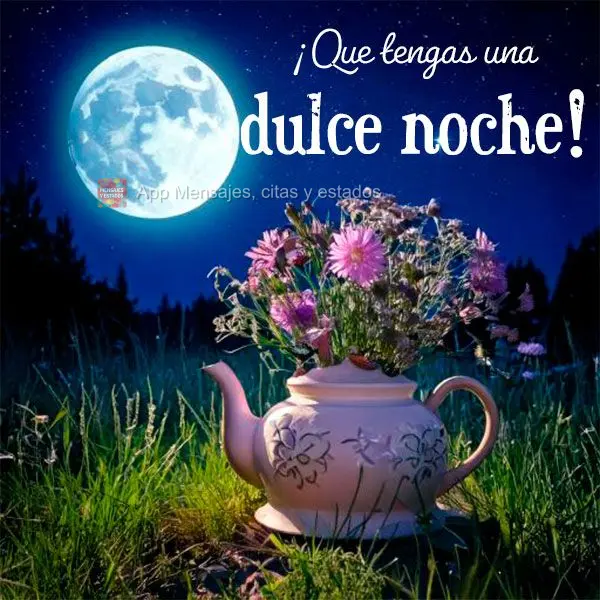 ¡Que tengas una dulce noche!