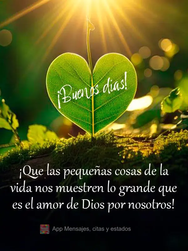 Que as pequenas coisas da vida nos mostre o quão grande é o amor de Deus por nós!  Bom dia!